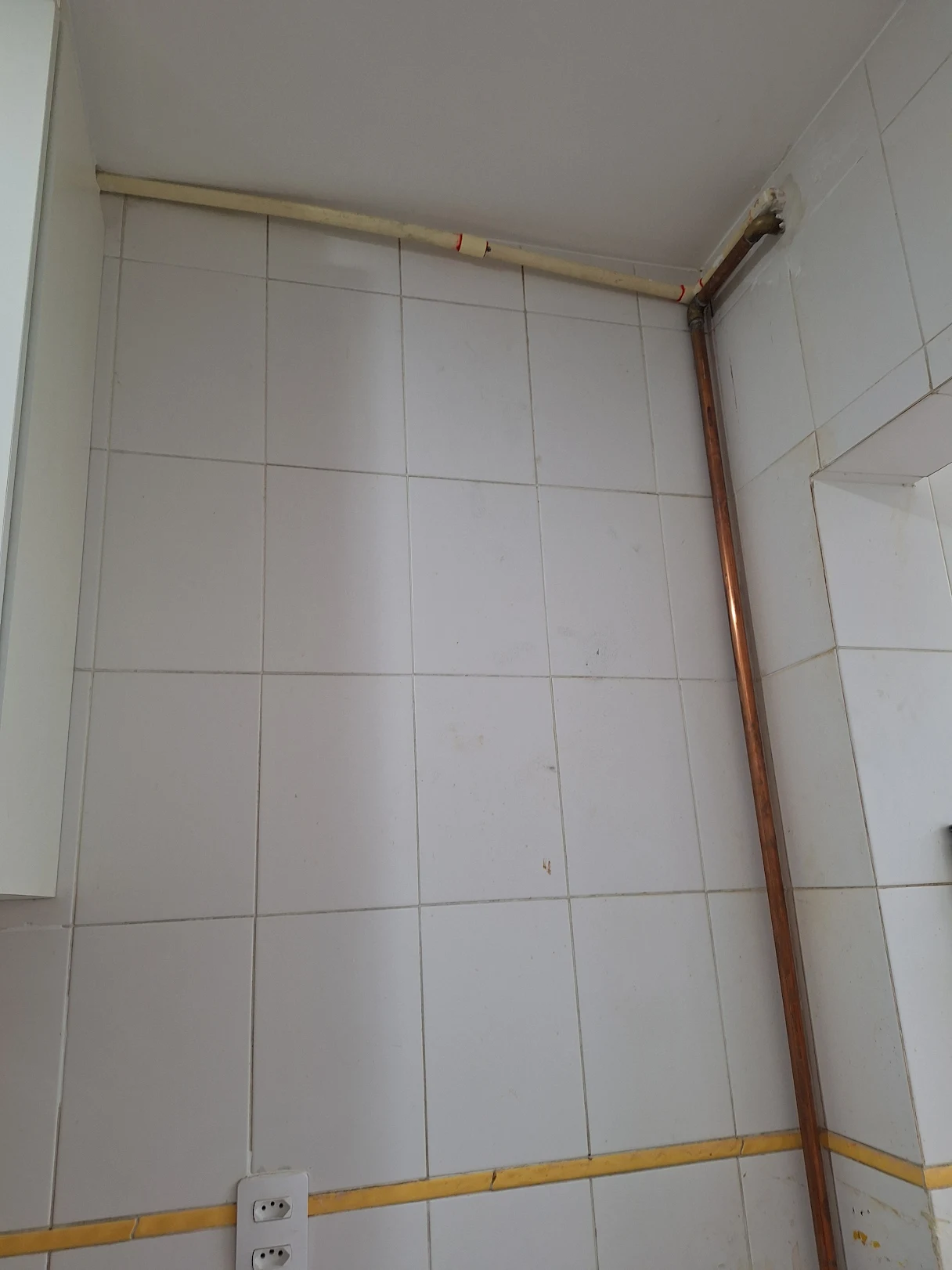 Imagem 3 enviada por Tânia de Almeida